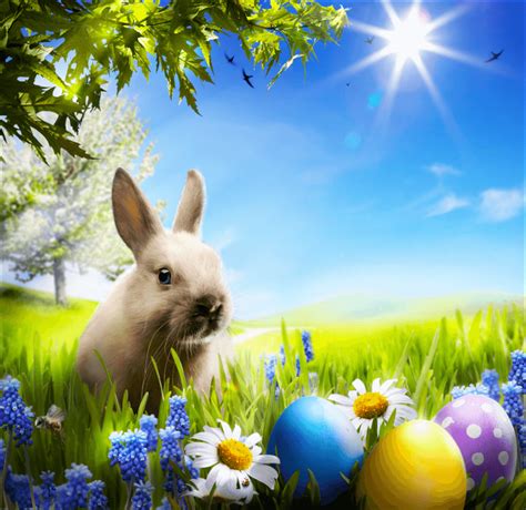 easter bunny photo backdrop